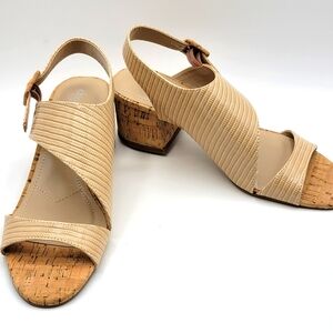 New In Box Charles by Charles David Cannon Sandal Size 7M.  #1221